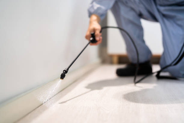 Licensed Termite Control service in Frederick County County, VA - Nex Pest Control