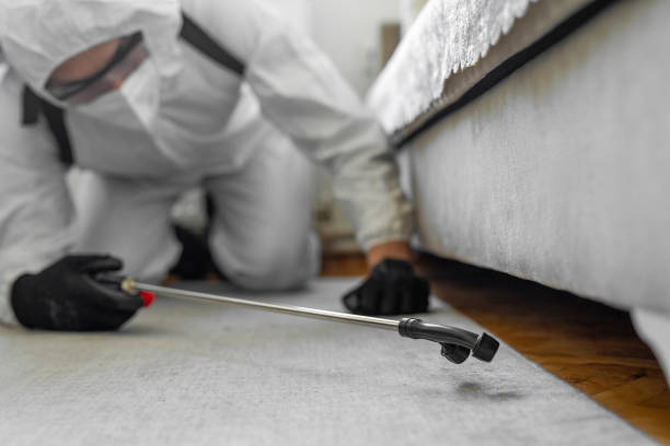 Professional Termite Control technician working in Frederick County County, VA